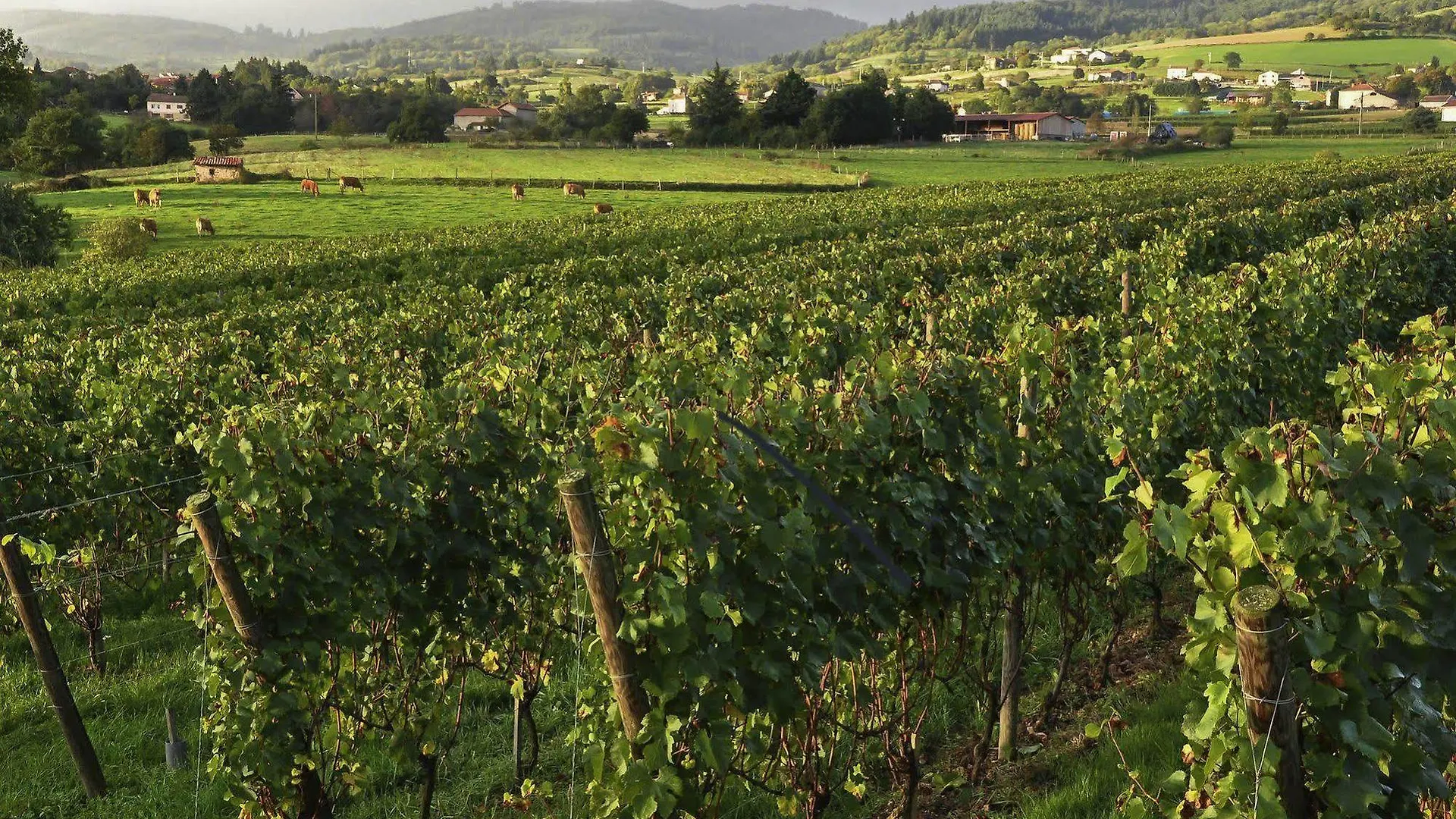 Ibis Styles Roanne Centre Gare Hotel